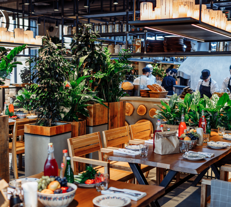 Syrovarnya (Сыроварня) — Баку