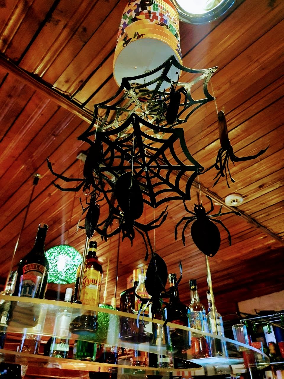 O'Malley-nin İrlandiya Pabı Bakı